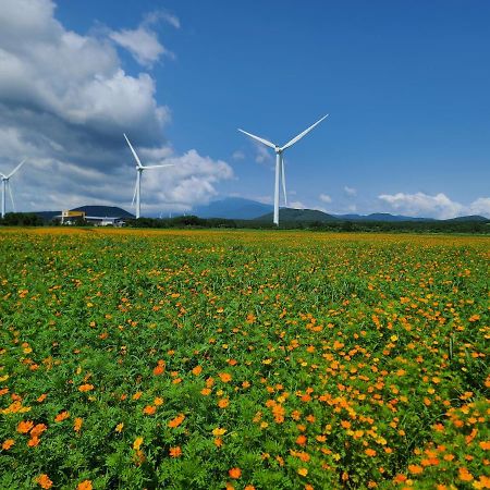 Brassica Flower Pension Seogwipo Exterior photo