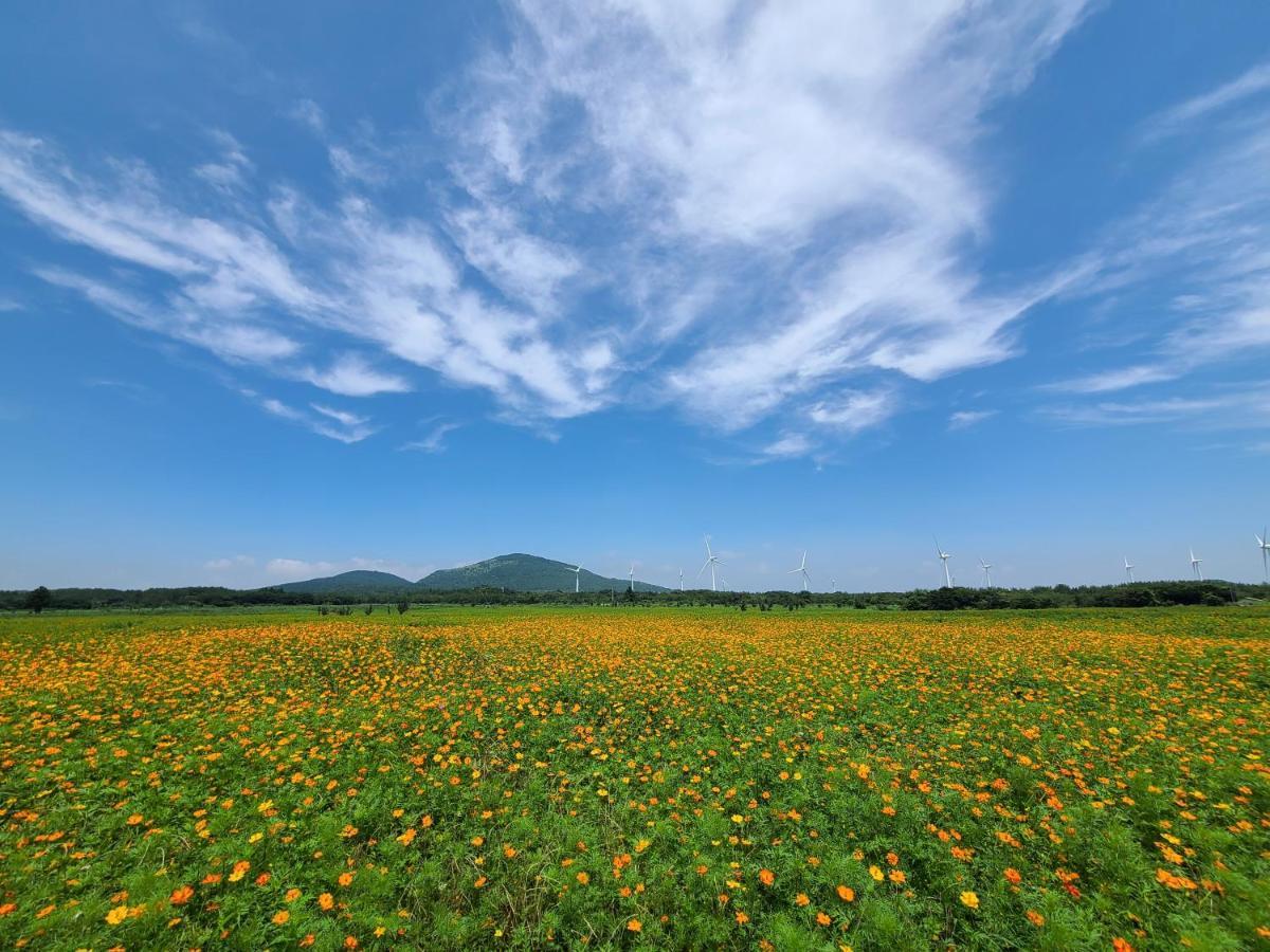 Brassica Flower Pension Seogwipo Exterior photo