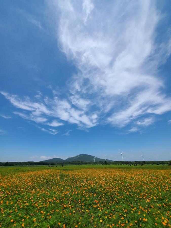 Brassica Flower Pension Seogwipo Exterior photo
