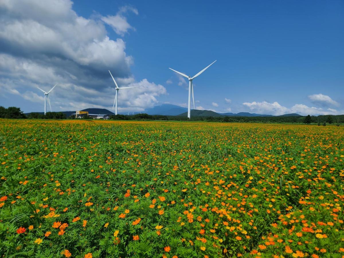 Brassica Flower Pension Seogwipo Exterior photo