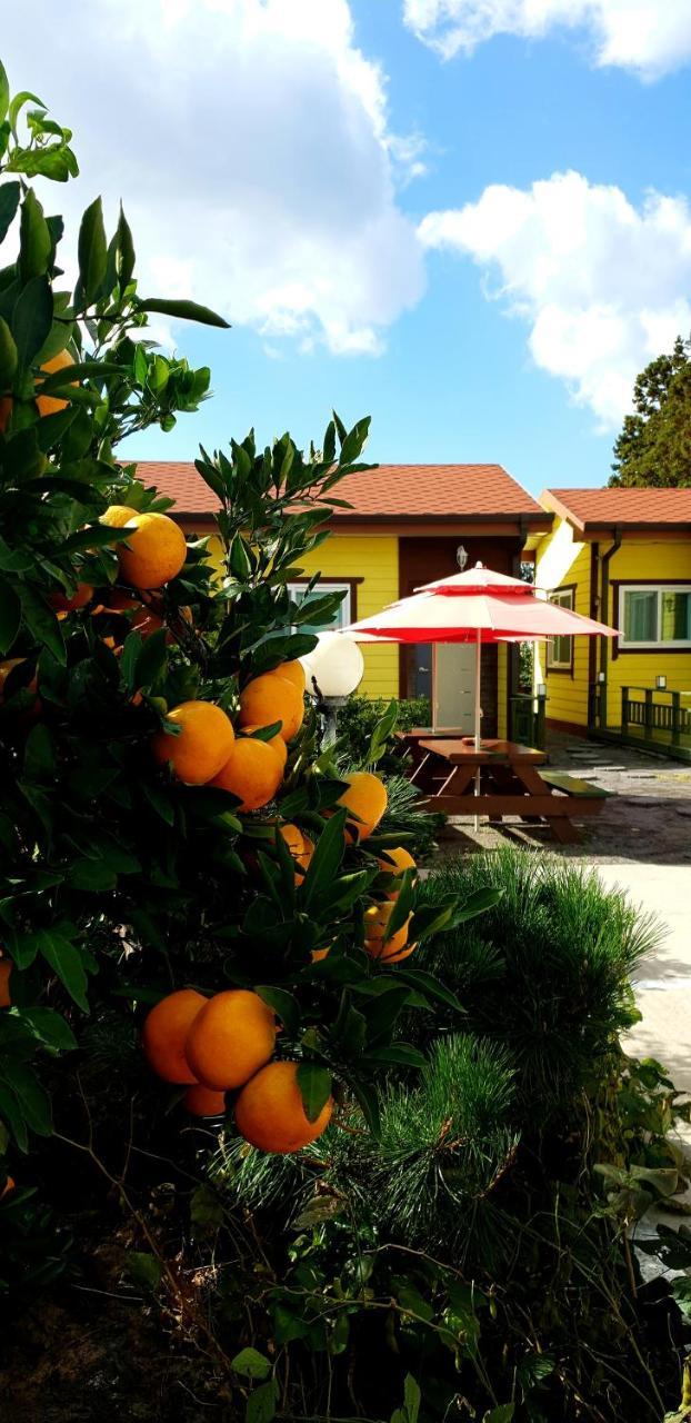 Brassica Flower Pension Seogwipo Exterior photo