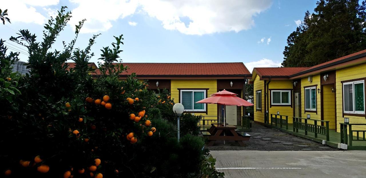 Brassica Flower Pension Seogwipo Exterior photo