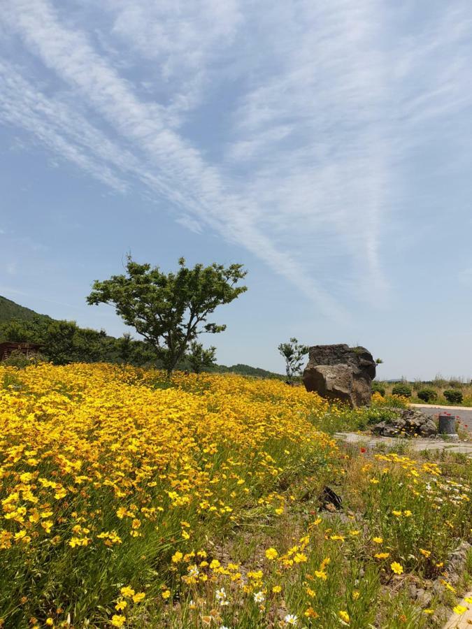 Brassica Flower Pension Seogwipo Exterior photo