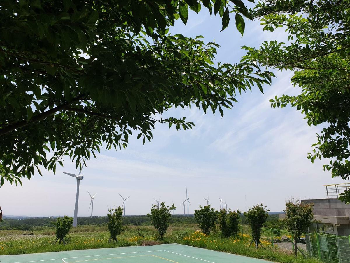 Brassica Flower Pension Seogwipo Exterior photo